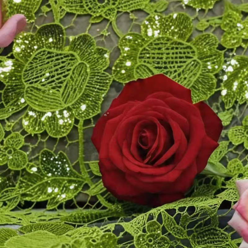 Wysokiej jakości ażurowa koron – Sewing Eyelet Fabric recenzja i cena